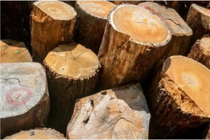 ADN20210906070826_1630905701502