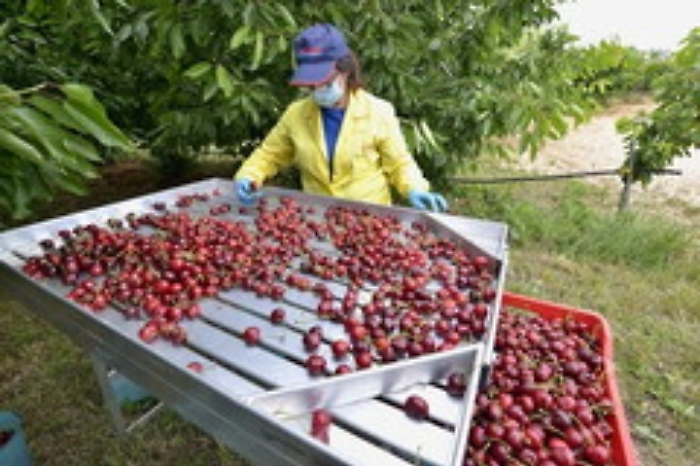 Italpress_06092021_0019_1630941324669