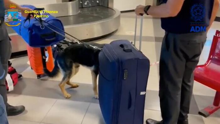 070036781-1448aefc-b319-4833-a150-0f89781f3139