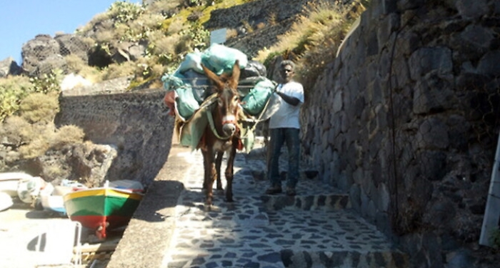 111701133-cd3247b1-0b1a-4ec0-b449-a6144c2f15a8