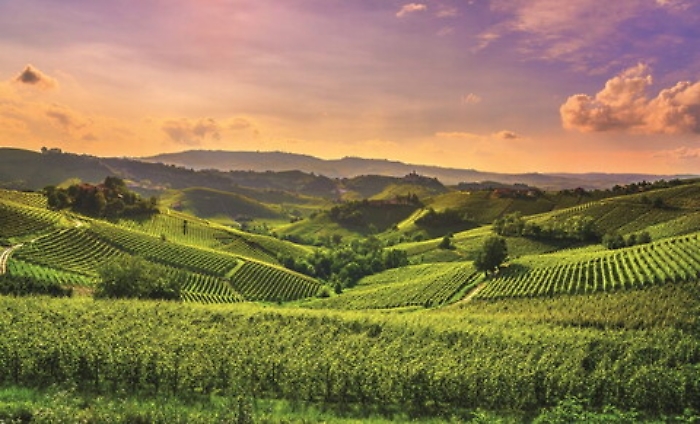 Italpress_08092021_0006_1631100578930