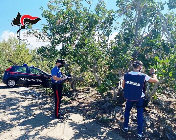 102732093-e6009ad1-bf0c-45fa-b031-b63c85e513c2