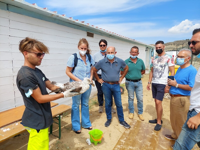 105843252-f6bc3753-a2f1-40ab-91b0-3be905523f9b