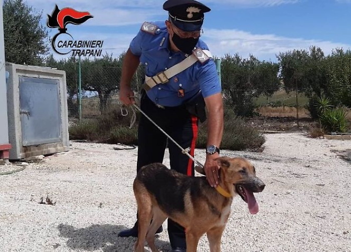 144916938-7ce67e7f-44fe-482c-91a5-0152093367a2