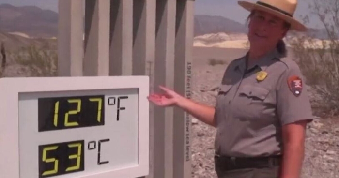 102938939-6a5c9cc0-0cc7-4773-ae3f-146dd062e340