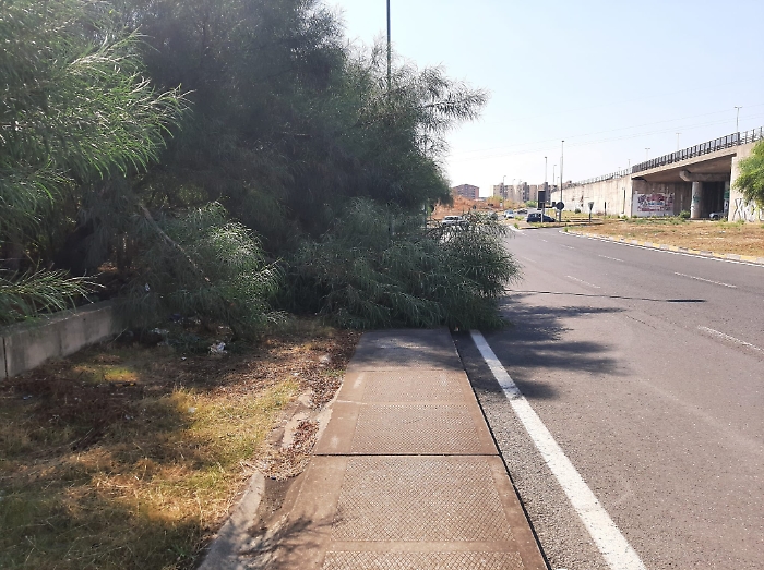 155256325-6a05e100-44dc-4bcc-9648-01705150bdcd