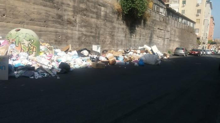 163514706-4a94c8f0-e3ab-4174-ab5b-08a572264278