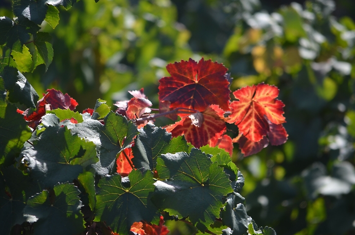 152540191-9909869b-82a1-488d-9113-c986cf28c2a1