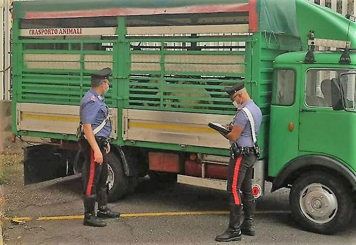 100127384-f392e3f9-b6c1-4506-ba21-247cbb04354f