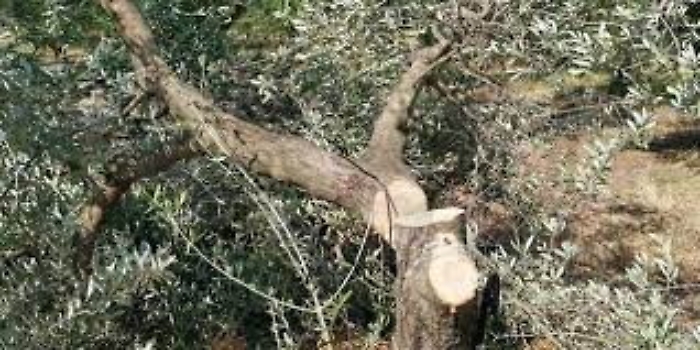 084859772-2ba93458-46ba-4447-896a-911676f17c26