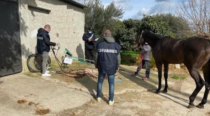 091031290-f4800e1a-8ed1-4d2d-aebf-34073e2e85f6