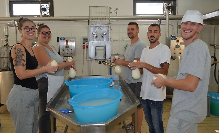 174020936-d653c71c-be6a-4ffa-a4ac-2b9274822fcd