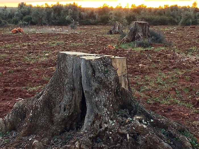 213920855-641ca0fc-db94-4caf-ae1a-46dcc2eb34e6