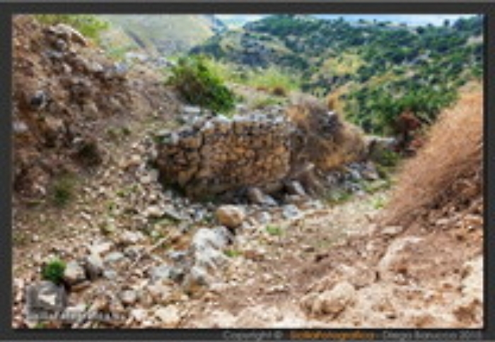 134419499-e7667419-ccd1-46c9-8d1e-93ac008ea2c7