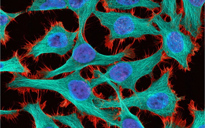 181247017-520c0bdc-3131-4af3-a878-169bc3a3c1d4