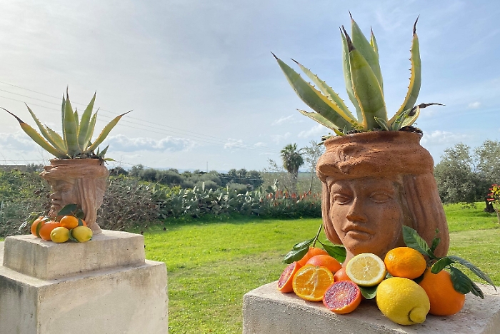 090108160-e260b881-0ed2-42fc-9c0e-c8647c3340cf