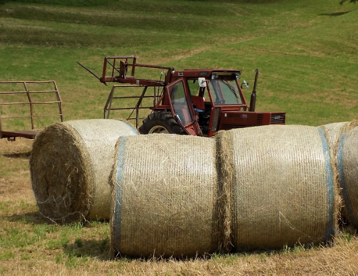 194044346-d7940d14-2e67-4cee-91da-feeb0a3c58b1