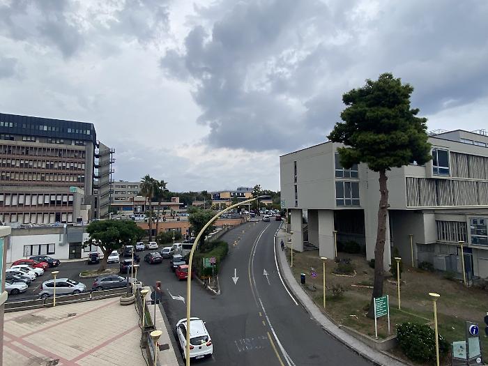 191130014-a125996d-0290-43f7-9379-58b5ee99aeb2