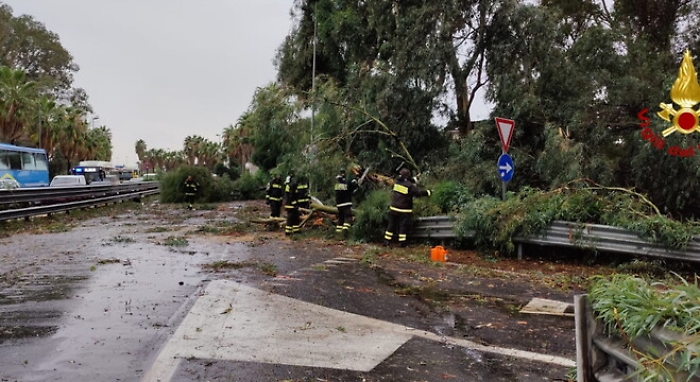 054846431-a88a76d6-5e0d-475b-a8fc-8f6676bd1d83