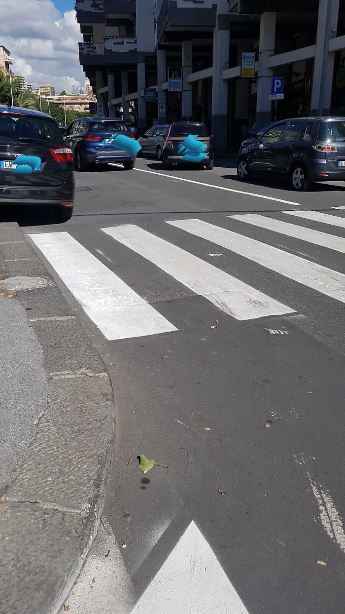 164703066-5932d047-4706-415f-a7af-5dde18cf60a3