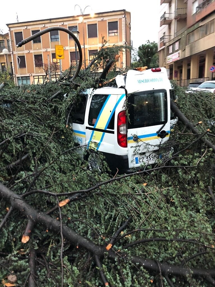 091321025-bbb43a45-970c-4cab-8f43-934992108a1a