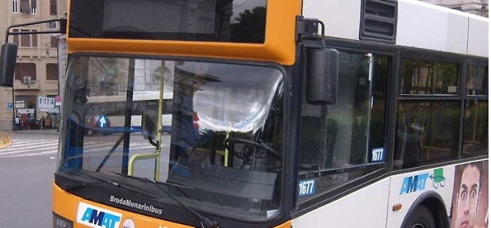 191012811-db711f79-971d-44de-bc85-5072ae073a87