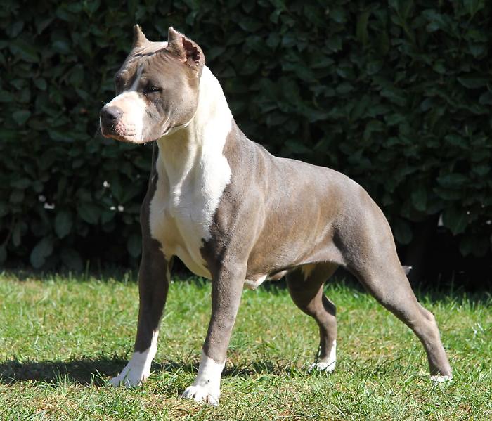 062511278-b43430fd-a13e-448f-b5c1-bdc63f91e5cd