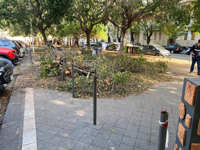 154449482-177fcd94-741b-4164-89a8-d79d0b8f7075