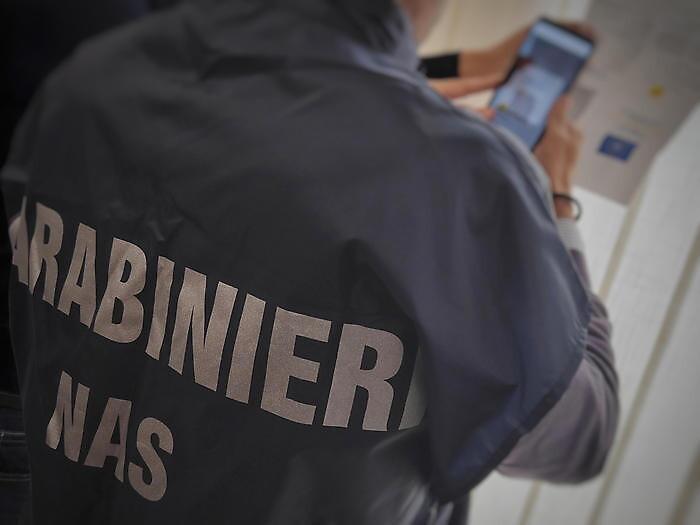 082213073-be501207-3307-45fa-823d-513d5de184c9