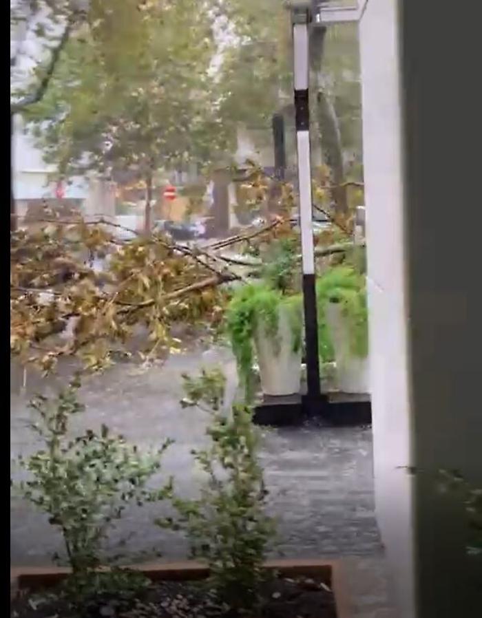 163309561-26cfd4ab-63e2-4d78-94a5-e1b74c925a88