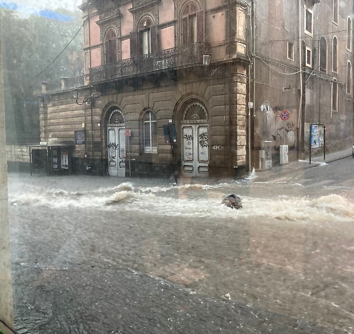 090531890-9da5a921-2841-420a-84b0-7fe99d8c22e0