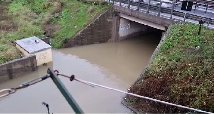 093112440-c9559ef4-d4d4-4f4d-89eb-0d1db4713988