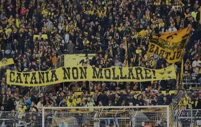 220236896-84d9c324-42c2-4549-b420-8fed09e406e8