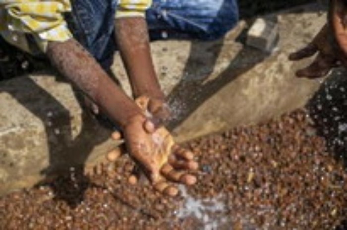 ADN20211102145303_1635862092260