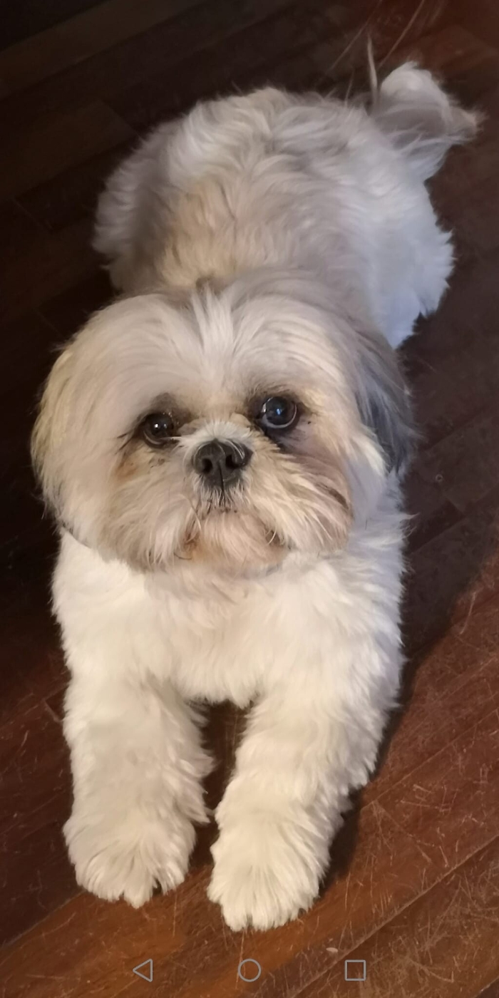 111110614-79fe6ed0-6ecb-4390-8827-95b5cf418ba3