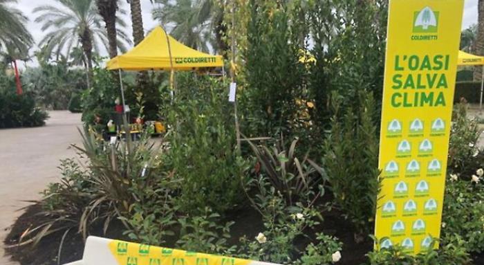 142056037-8fe5ccc8-7735-47bf-96fd-c3be05027470