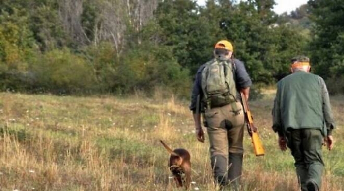 094544979-23e3434d-8ab9-40df-afe3-3761445b00a5