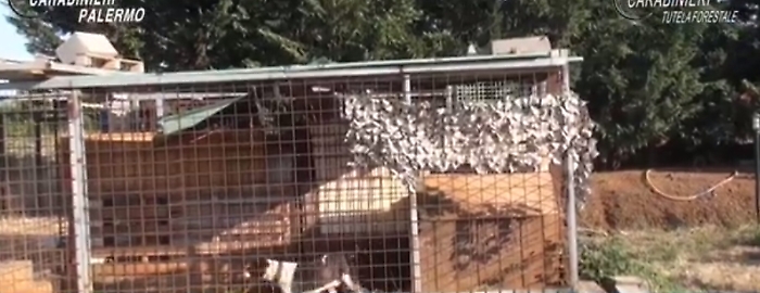 102216524-b6053bbd-a086-4035-b716-1decf7fbb9c4