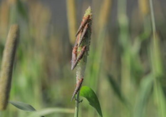 152106334-d4b7d43f-1be6-45bc-849b-48a128c29e50