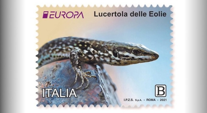 092407211-1f6083a7-32cd-4c25-96a0-cc80f50c729c