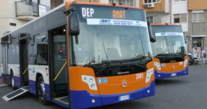 073807138-b09b2bf8-2b58-4385-95a4-8aaed3da3d3c