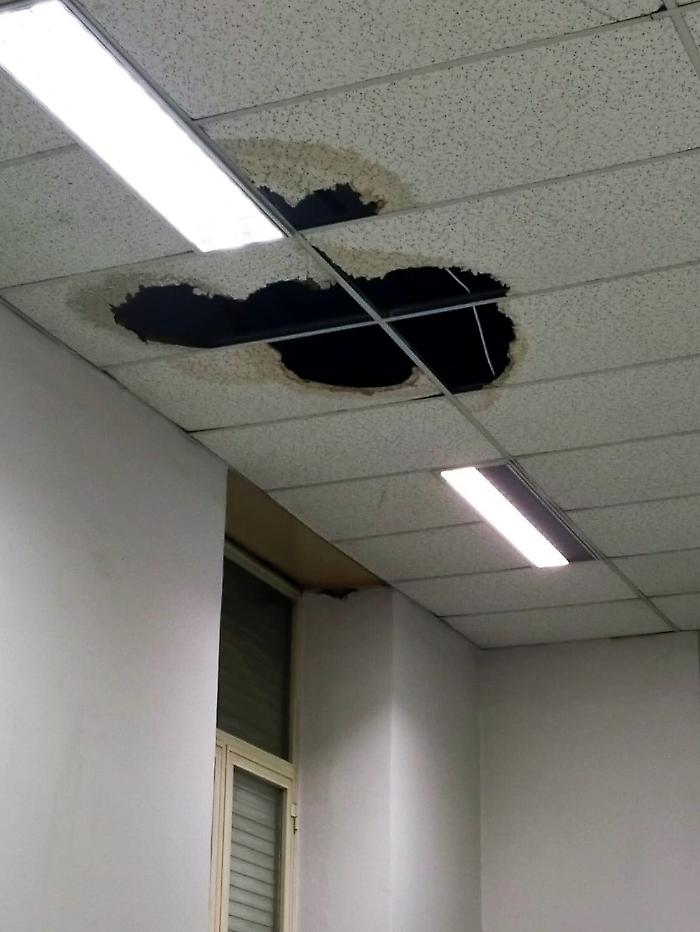 110809173-670005bb-5e31-44f5-93b2-bda252b5164b