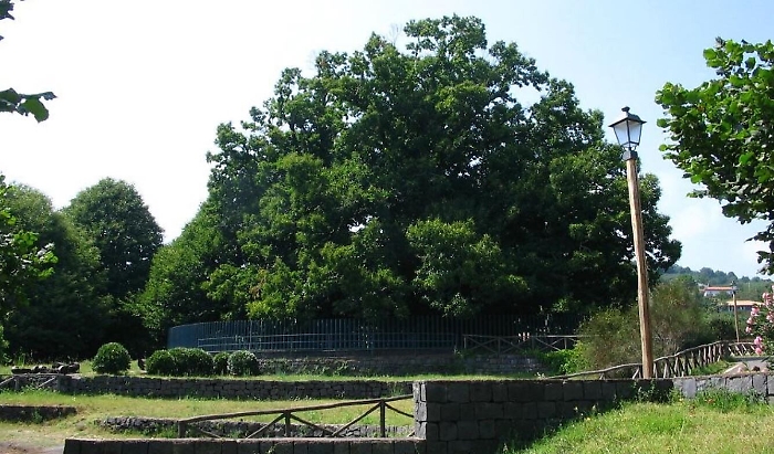 191633547-a3d3a56a-d6dd-435f-a7f0-dd27fbcf230f