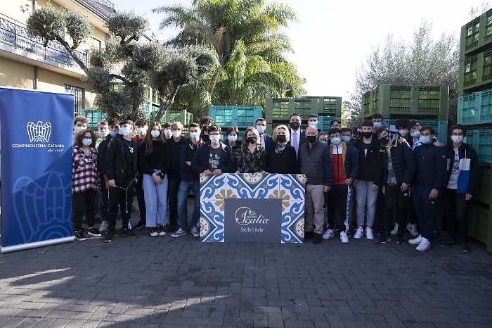 174420677-8b6719fb-3896-4ebe-89c5-26d122b3d3b3