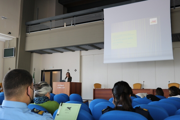 155938605-903f397a-7790-4fcb-bda5-de89f8491476