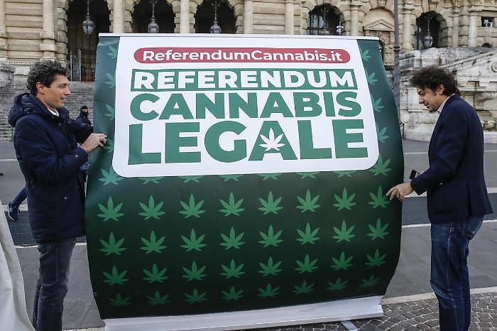 141016773-fd99fe42-341f-4c2e-95f3-3c34e3139fa1