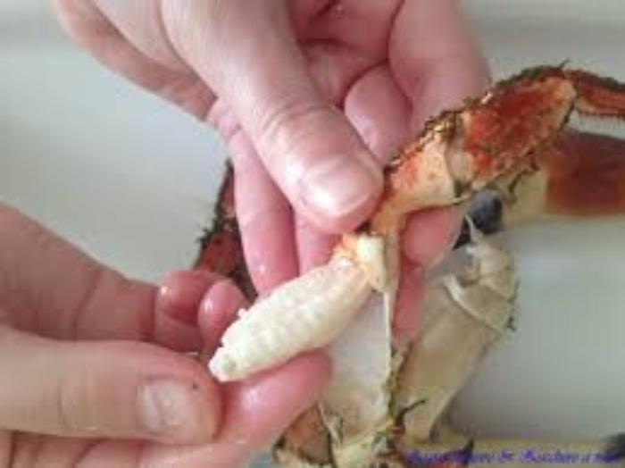 102722034-47623d29-a064-4e5d-baf9-a9a47e7be46f