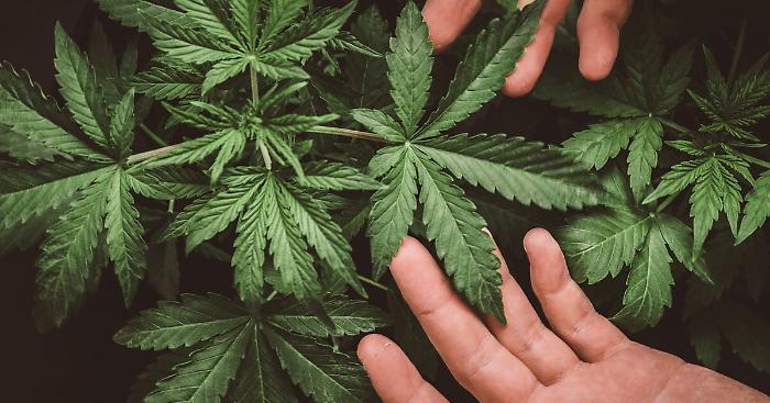 110450426-efc664b1-6f76-4270-916b-31f58a1d34df