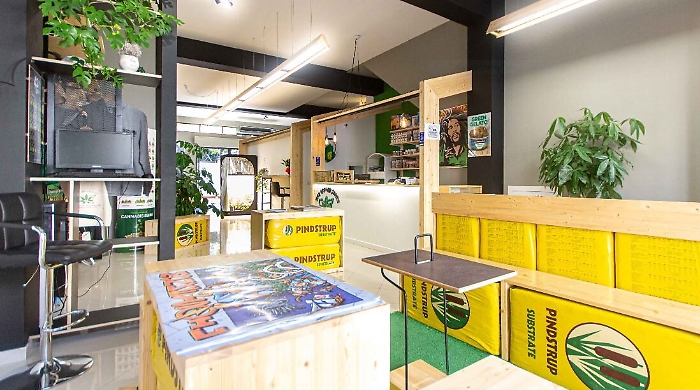 111243445-563e6e52-4ba8-4e9e-bcc1-7a9b5eac791b