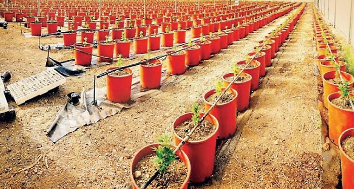 112504150-345dd8ca-fb5e-4b5c-a5d5-7245b8c1fec9